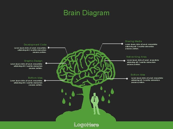 Brain Diagram Sharing Media Development Code Lorem ipsum dolor sit amet, consectetur adipiscing elit.