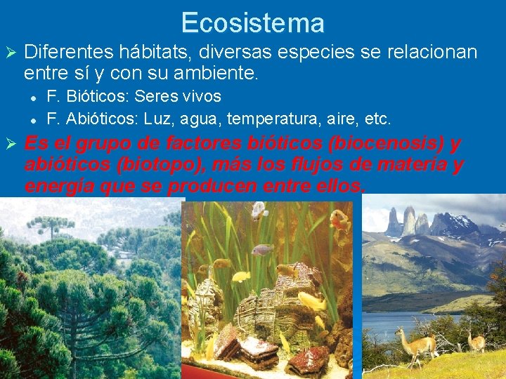Ecosistema Ø Diferentes hábitats, diversas especies se relacionan entre sí y con su ambiente.