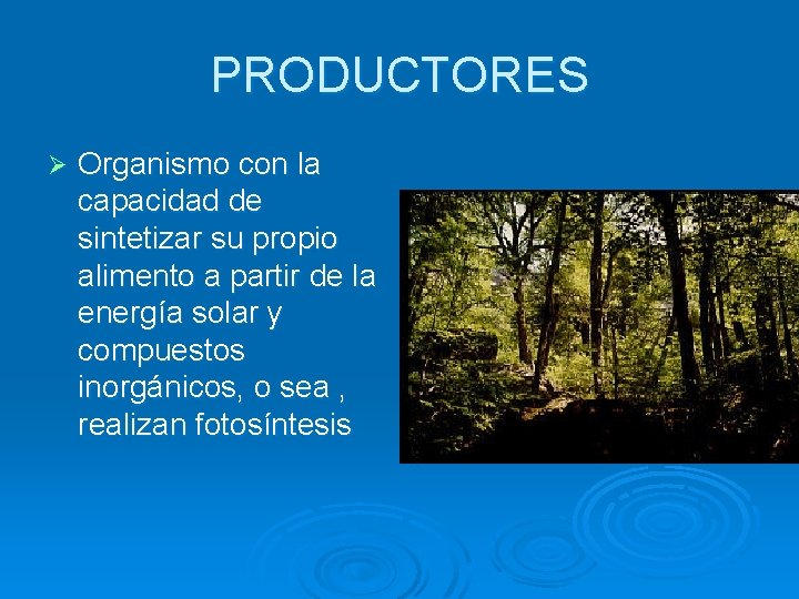 PRODUCTORES Ø Organismo con la capacidad de sintetizar su propio alimento a partir de