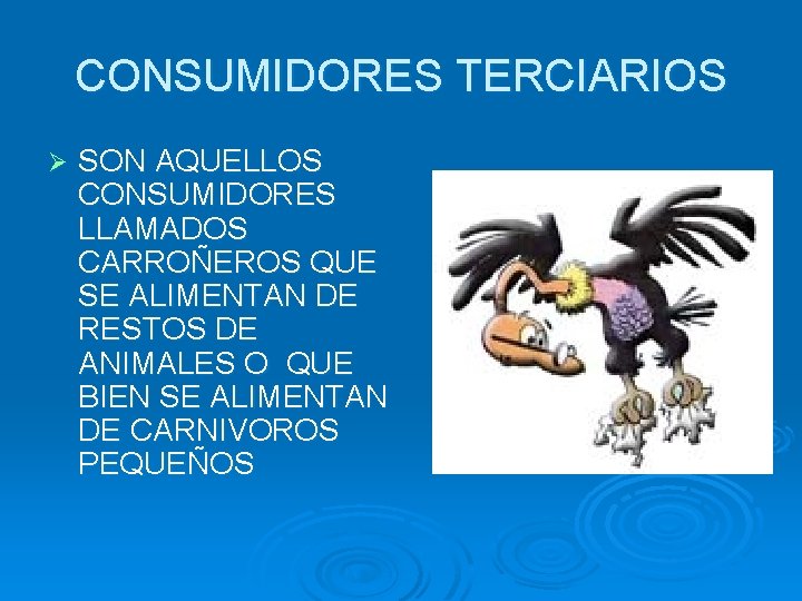 CONSUMIDORES TERCIARIOS Ø SON AQUELLOS CONSUMIDORES LLAMADOS CARROÑEROS QUE SE ALIMENTAN DE RESTOS DE