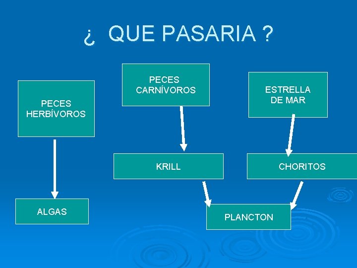 ¿ QUE PASARIA ? PECES CARNÍVOROS PECES HERBÍVOROS ESTRELLA DE MAR KRILL ALGAS CHORITOS