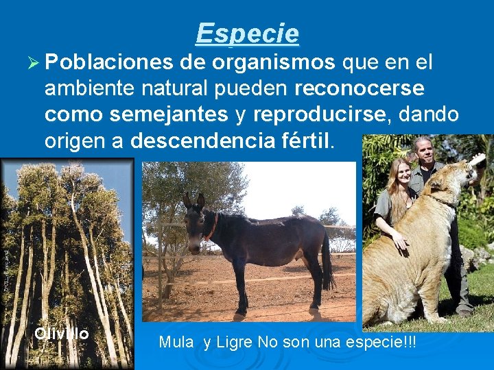Especie Ø Poblaciones de organismos que en el ambiente natural pueden reconocerse como semejantes