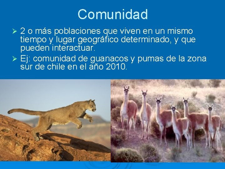 Comunidad 2 o más poblaciones que viven en un mismo tiempo y lugar geográfico