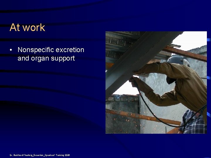 At work • Nonspecific excretion and organ support Dr. Burkhard Flechsig_Excretion_Speakers' Training 2006 