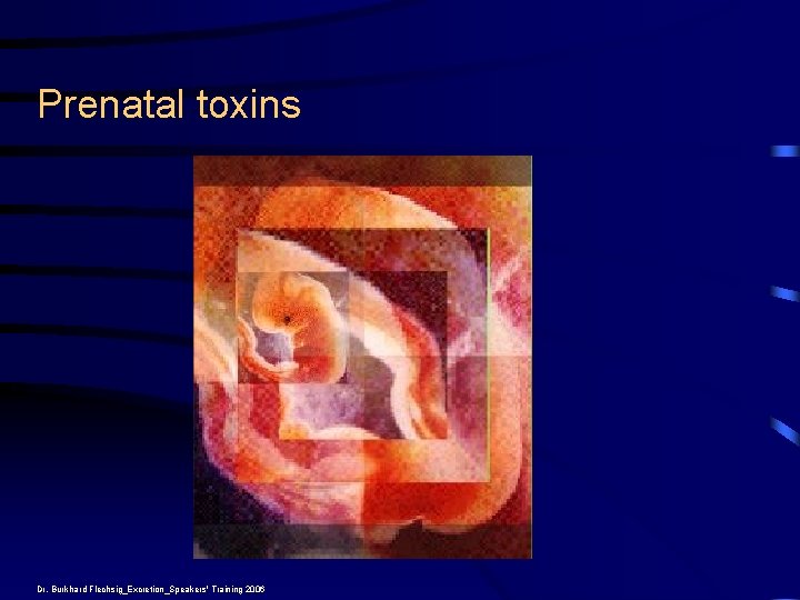 Prenatal toxins Dr. Burkhard Flechsig_Excretion_Speakers' Training 2006 