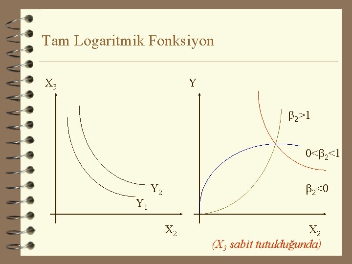 Tam Logaritmik Fonksiyon X 3 Y b 2>1 0<b 2<1 Y 1 b 2<0