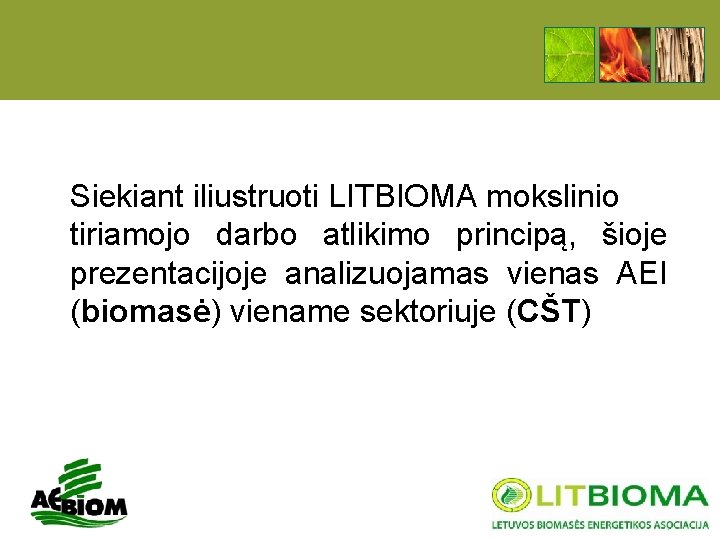 Siekiant iliustruoti LITBIOMA mokslinio tiriamojo darbo atlikimo principą, šioje prezentacijoje analizuojamas vienas AEI (biomasė)