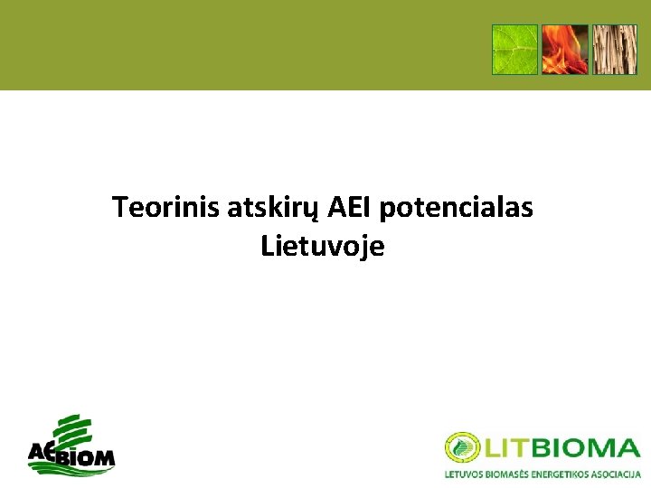 Teorinis atskirų AEI potencialas Lietuvoje 