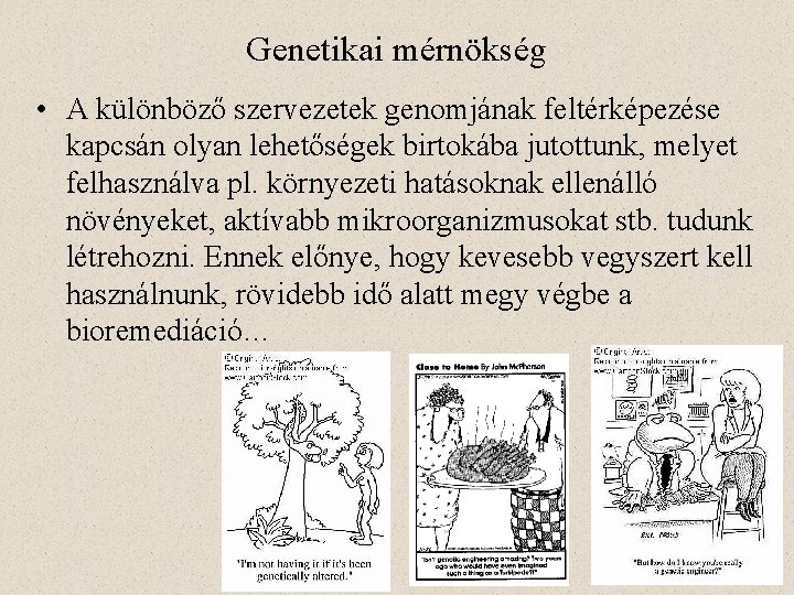 Genetikai mérnökség • A különböző szervezetek genomjának feltérképezése kapcsán olyan lehetőségek birtokába jutottunk, melyet