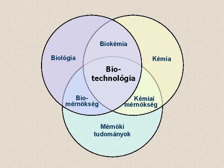 Biokémia Biológia Kémia Biotechnológia Biomérnökség Kémiai mérnökség Mérnöki tudományok 