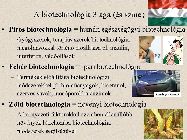 A biotechnológia 3 ága (és színe) • Piros biotechnológia = humán egészségügyi biotechnológia –