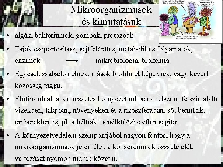 Mikroorganizmusok és kimutatásuk • algák, baktériumok, gombák, protozoák • Fajok csoportosítása, sejtfelépítés, metabolikus folyamatok,