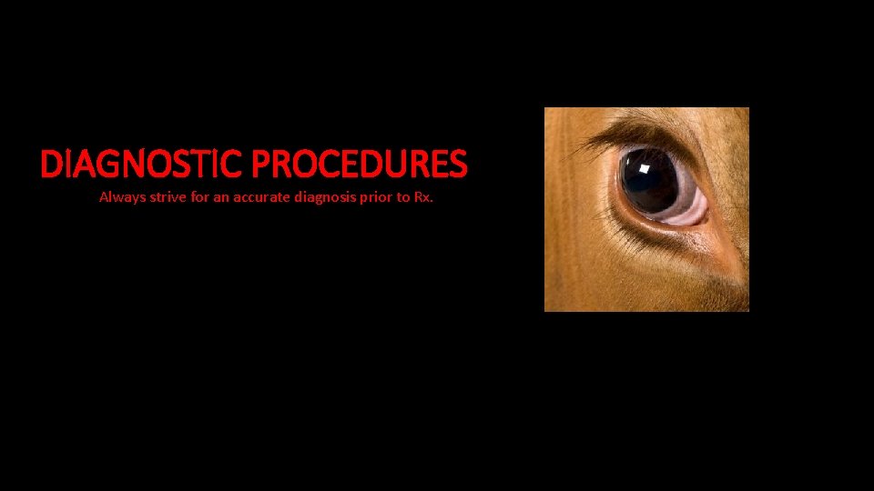 DIAGNOSTIC PROCEDURES Always strive for an accurate diagnosis prior to Rx. 