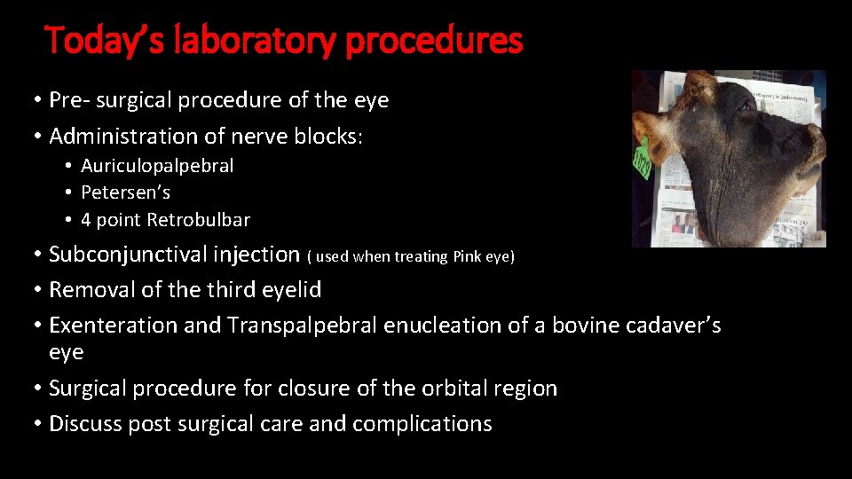 Today’s laboratory procedures • Pre- surgical procedure of the eye • Administration of nerve