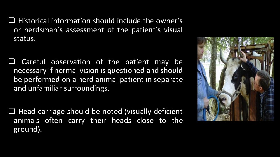 q Historical information should include the owner’s or herdsman’s assessment of the patient’s visual