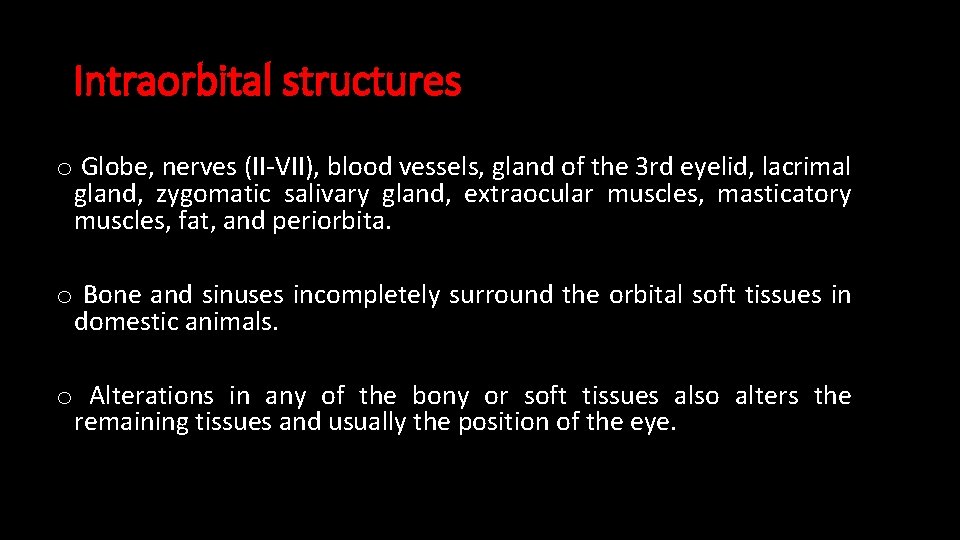 Intraorbital structures o Globe, nerves (II-VII), blood vessels, gland of the 3 rd eyelid,