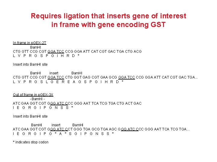 Requires ligation that inserts gene of interest in frame with gene encoding GST In