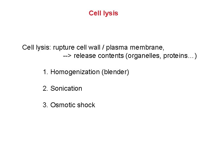 Cell lysis: rupture cell wall / plasma membrane, --> release contents (organelles, proteins…) 1.