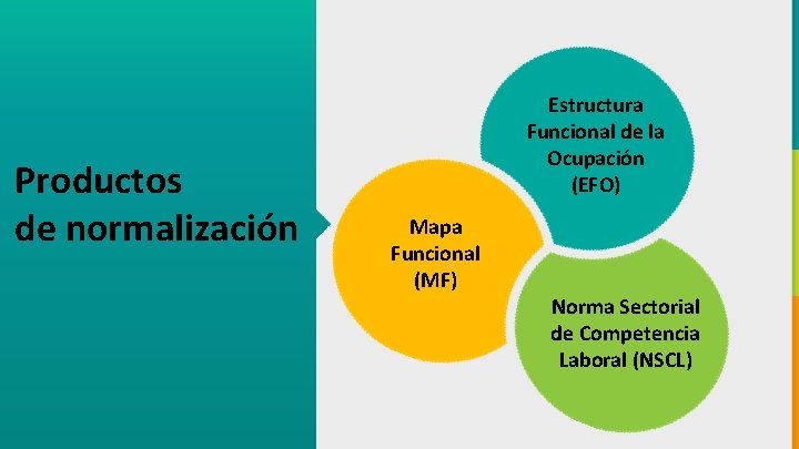 Productos de normalización Estructura Funcional de la Ocupación (EFO) Mapa Funcional (MF) Norma Sectorial