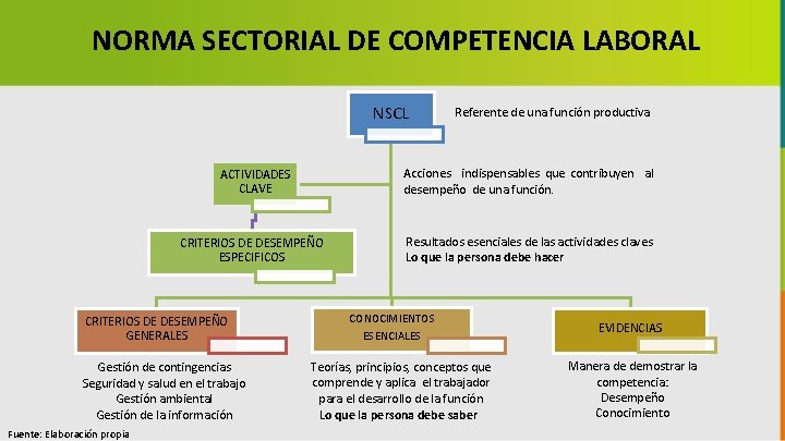 NORMA SECTORIAL DE COMPETENCIA LABORAL NSCL ACTIVIDADES CLAVE Acciones indispensables que contribuyen al desempeño
