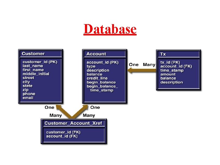 Database Database