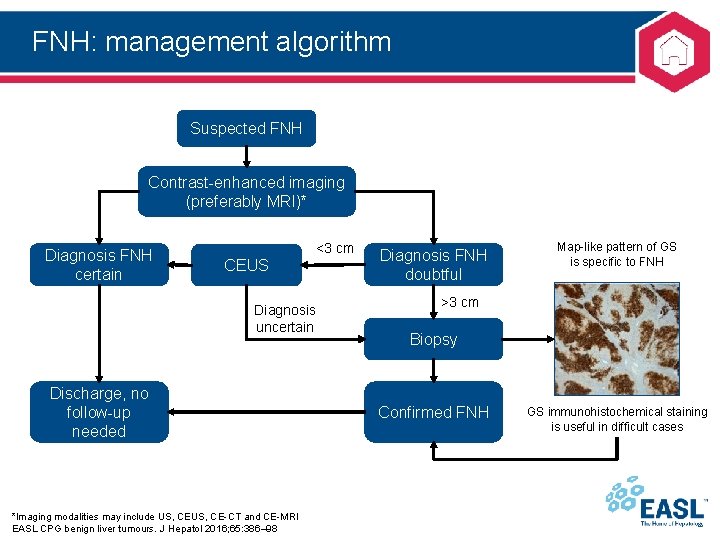 FNH: management algorithm Suspected FNH Contrast-enhanced imaging (preferably MRI)* Diagnosis FNH certain <3 cm