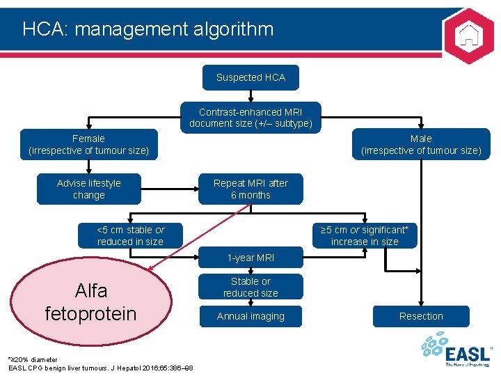 HCA: management algorithm Suspected HCA Contrast-enhanced MRI document size (+/– subtype) Male (irrespective of