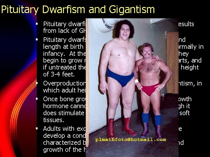 Pituitary Dwarfism and Gigantism § Pituitary dwarfism is the failure of growth that results