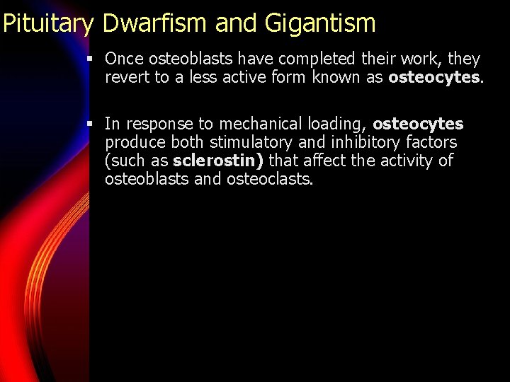 Pituitary Dwarfism and Gigantism § Once osteoblasts have completed their work, they revert to