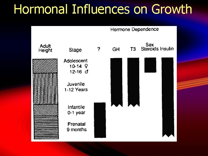 Hormonal Influences on Growth 