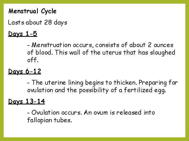 Menstrual Cycle Lasts about 28 days Days 1 -5 - Menstruation occurs, consists of