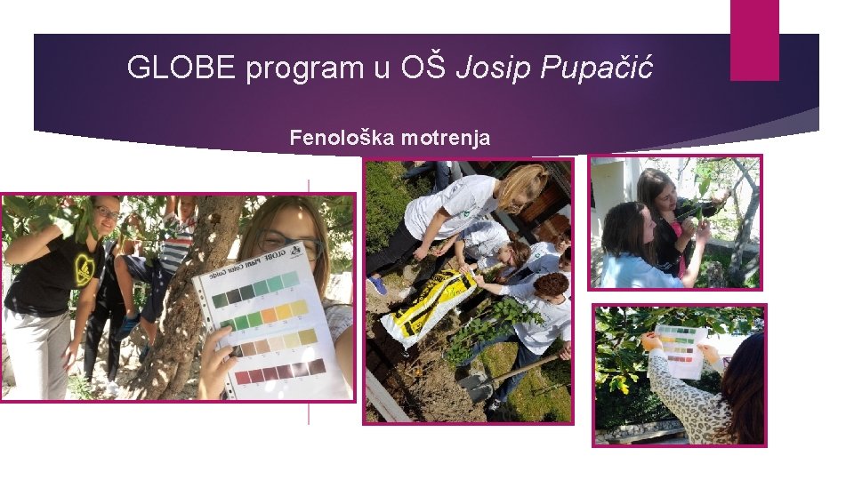 GLOBE program u OŠ Josip Pupačić Fenološka motrenja 