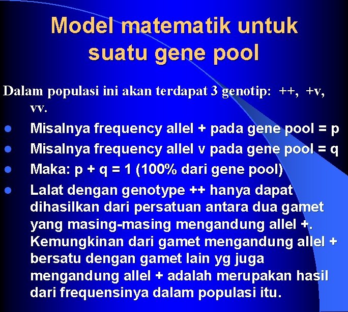 Model matematik untuk suatu gene pool Dalam populasi ini akan terdapat 3 genotip: ++,