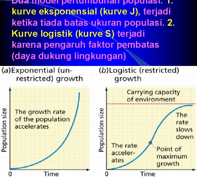 Dua model pertumbuhan populasi. 1. kurve eksponensial (kurve J), terjadi ketika tiada batas ukuran