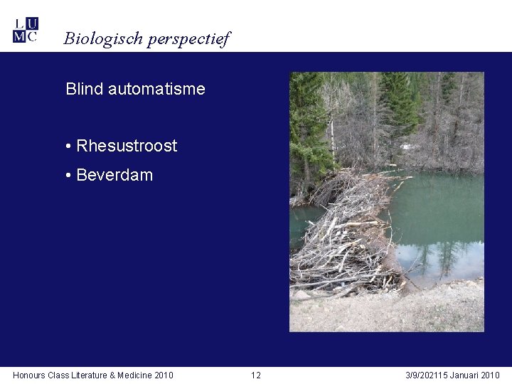 Biologisch perspectief Blind automatisme • Rhesustroost • Beverdam Honours Class Literature & Medicine 2010