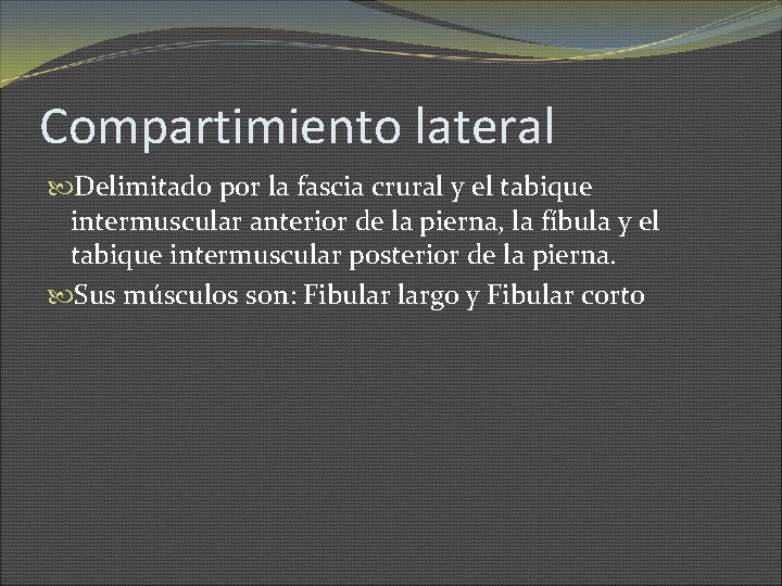 Compartimiento lateral Delimitado por la fascia crural y el tabique intermuscular anterior de la