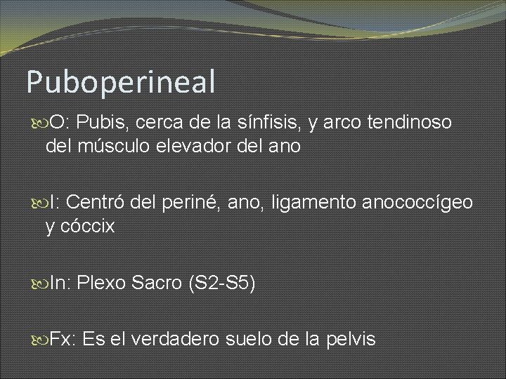 Puboperineal O: Pubis, cerca de la sínfisis, y arco tendinoso del músculo elevador del