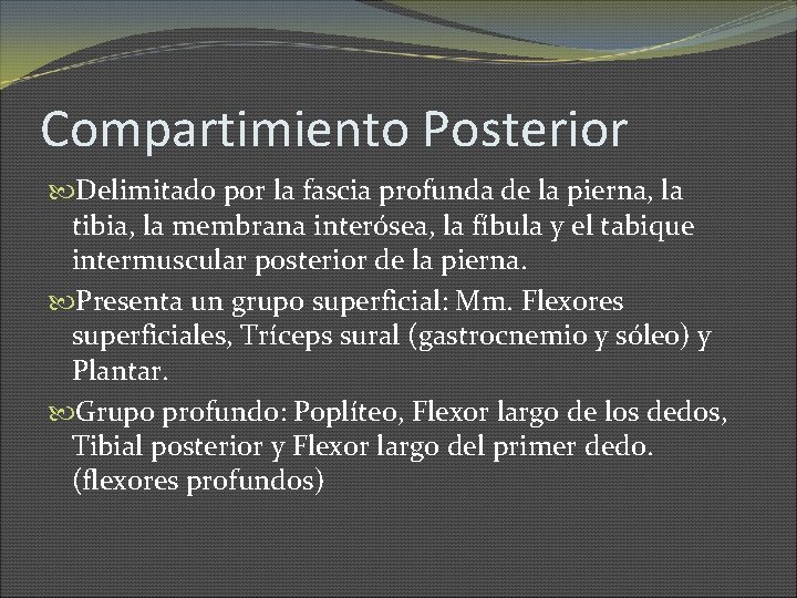 Compartimiento Posterior Delimitado por la fascia profunda de la pierna, la tibia, la membrana