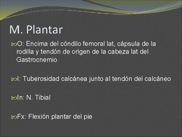 M. Plantar O: Encima del cóndilo femoral lat, cápsula de la rodilla y tendón
