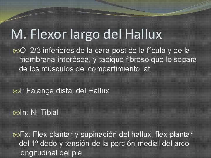 M. Flexor largo del Hallux O: 2/3 inferiores de la cara post de la