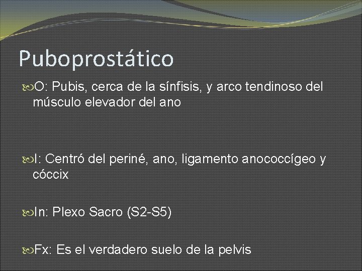 Puboprostático O: Pubis, cerca de la sínfisis, y arco tendinoso del músculo elevador del
