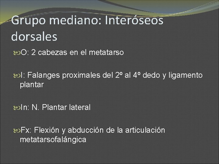Grupo mediano: Interóseos dorsales O: 2 cabezas en el metatarso I: Falanges proximales del