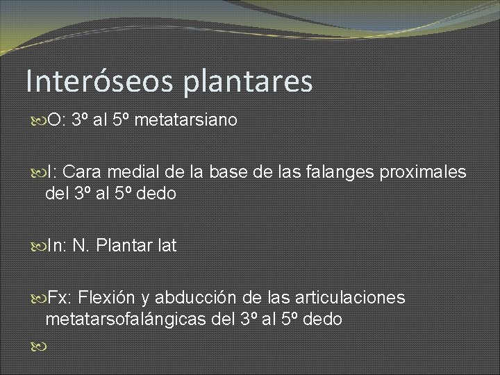 Interóseos plantares O: 3º al 5º metatarsiano I: Cara medial de la base de