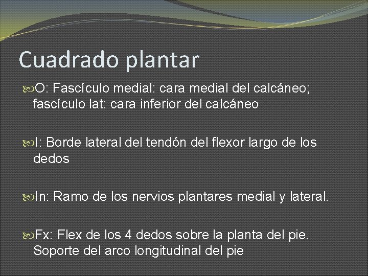 Cuadrado plantar O: Fascículo medial: cara medial del calcáneo; fascículo lat: cara inferior del