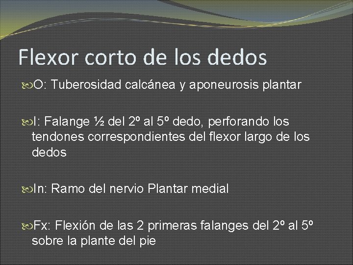 Flexor corto de los dedos O: Tuberosidad calcánea y aponeurosis plantar I: Falange ½