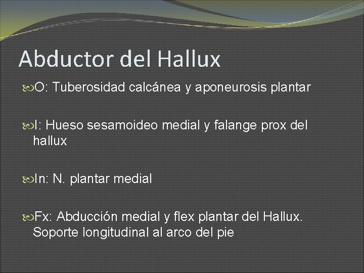 Abductor del Hallux O: Tuberosidad calcánea y aponeurosis plantar I: Hueso sesamoideo medial y