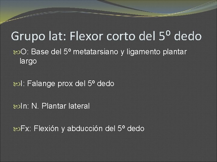 Grupo lat: Flexor corto del 5⁰ dedo O: Base del 5º metatarsiano y ligamento