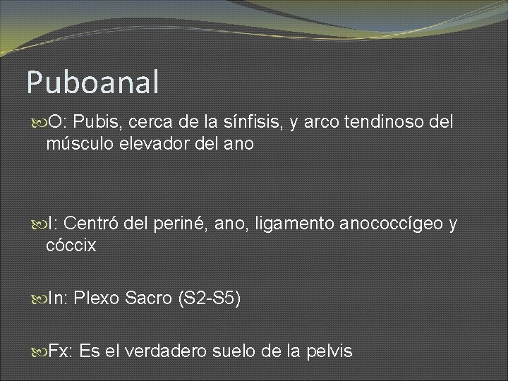 Puboanal O: Pubis, cerca de la sínfisis, y arco tendinoso del músculo elevador del