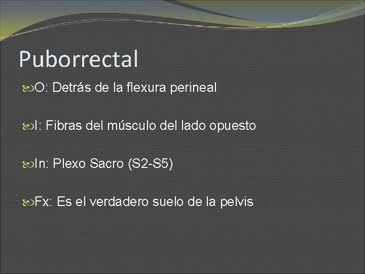 Puborrectal O: Detrás de la flexura perineal I: Fibras del músculo del lado opuesto