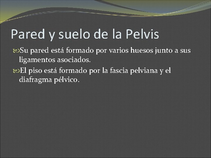 Pared y suelo de la Pelvis Su pared está formado por varios huesos junto
